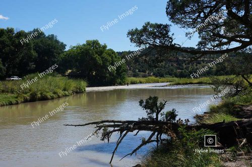 Chama River, El Vado Ranch, Fly Fishing, New Mexico