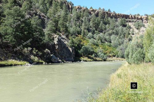 Chama River, Trout Fishing