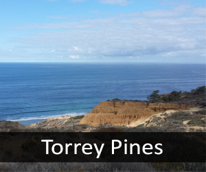 Torrey Pines