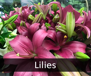 Lilies