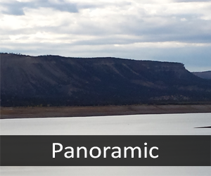 Panoramic