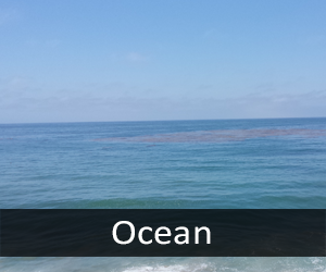 Ocean