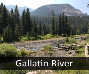 Gallatin River