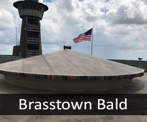 Brasstown Bald