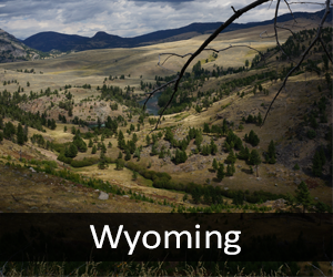Wyoming
