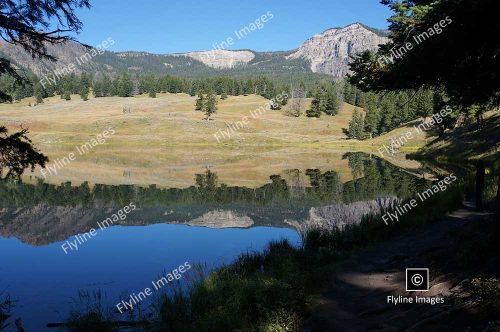 Yellowstone Natonal Park, Trout Lake, Trout Lake Trail
