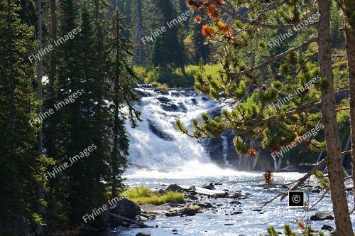 Lewis Falls, Yellowstone