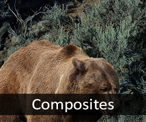Composite Images
