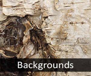 Backgrounds