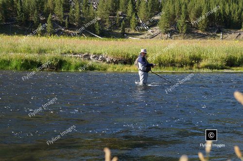 Madison River, Mark Lein, Fly Fishing, Yellowstone