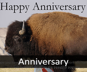 Anniversary Cards