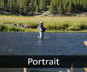 Madison River V