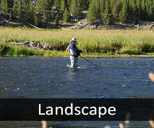 Madison River