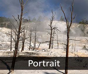 Mammoth Hot Springs V