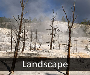 Mammoth Hot Springs