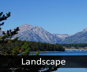 Grand Tetons National Park