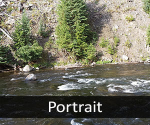Firehole River V