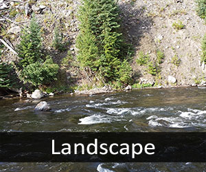 Firehole River
