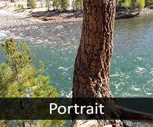 Yellowstone River V