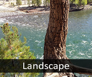 Yellowstone River