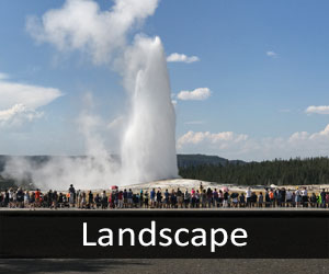 Geyser