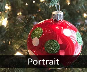 Christmas V