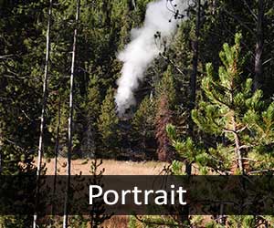Fumaroles V