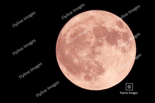 Strawberry Moon